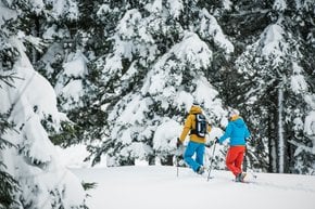 Snowshoe o excursiones con raquetas de nieve