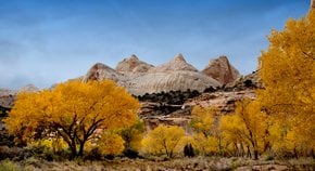 Cores de outono de Utah