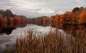 Herbstlaub in Rhode Island