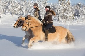 Horse Riding in the Snow