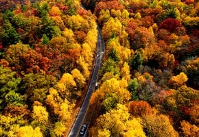 Colores de otoño de Georgia 