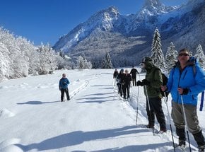 Snowshoe ou caminhada com raquetes de neve
