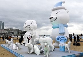 Das Polarbärenschwimmfest