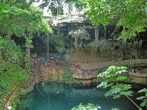 Maya Jungles
