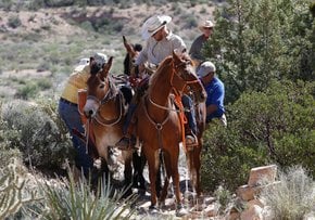 Equitation à travers Red Rock Canyon