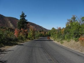 El camino escénico del Monte Nebo (Nebo Loop)