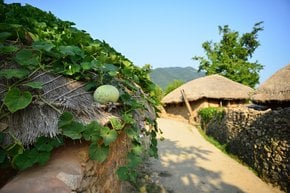 Traditional Villages (Agricultural Season)