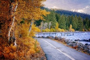 Couleurs de l'automne du lac Tahoe