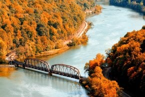 Folhagem de Outono de Virgínia Ocidental