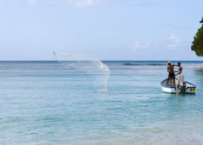 Fishing in Barbados