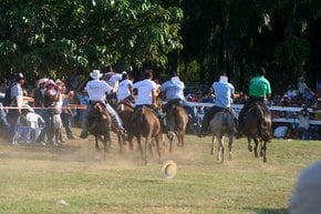 Parrita Mule Festival