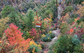 Colores de otoño de Ged River Gorge