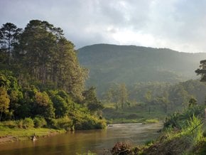 Les sources thermales et les cascades du parc national Ranomafana