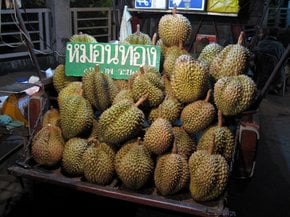 Durian Season