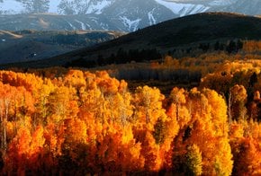 Colores de otoño en Yosemite