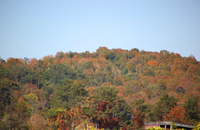 Couleurs d'automne à Hudson Highlands State Park 