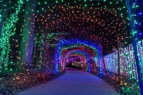 Luzes de Natal perto de Maryland