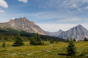 Tonquin Valley Hike