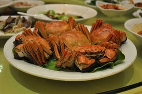 Saison du crabe poilu