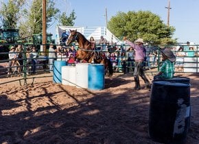Südliche New Mexico State Fair und Rodeo