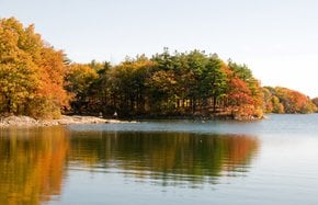Massachusetts Herbstlaub
