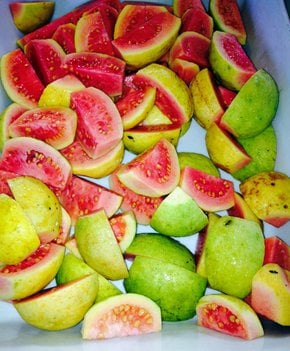 Guava Season