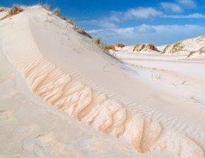 Dunes à Texel