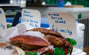 Langoustines, crabes et homards
