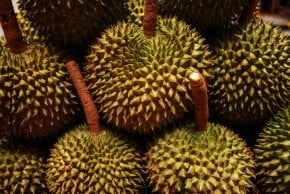 Temporada de Durian