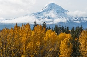 Colori dell'autunno dell'Oregon