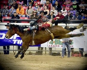 Indische National Finale Rodeo