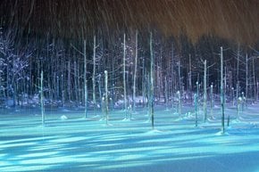 La magia del invierno del estanque azul de Biei