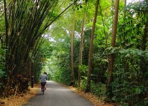 Ciclisme sur Pulau Ubin