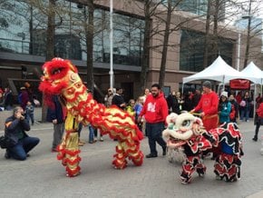 Chinese New Year Festival 