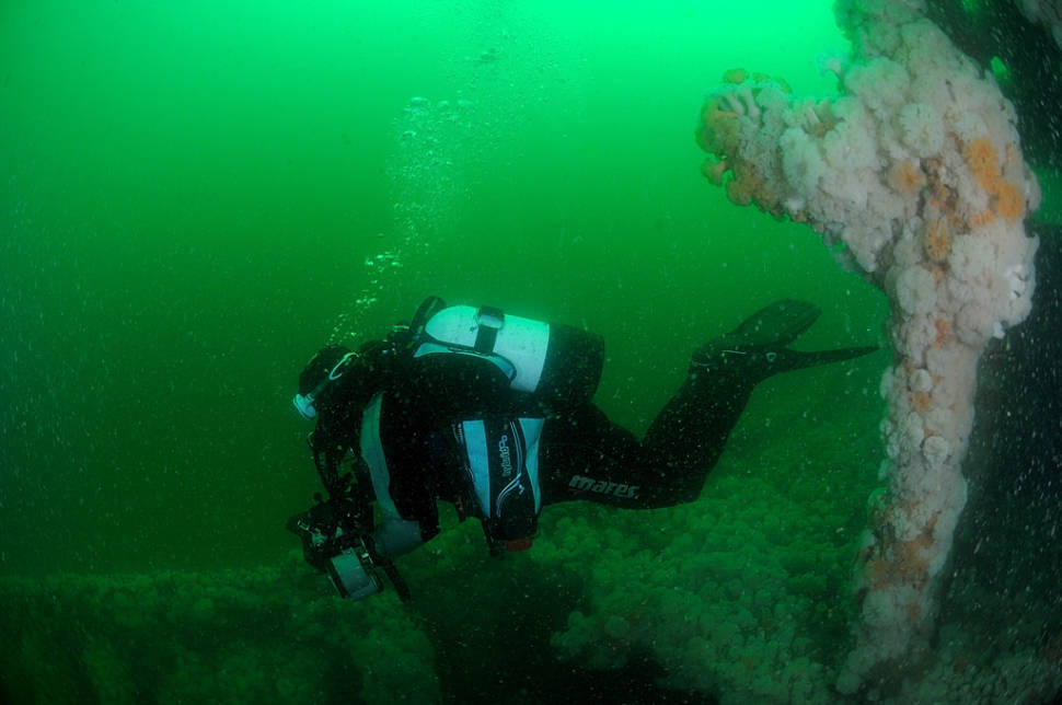 Diving in Wales - Best Time