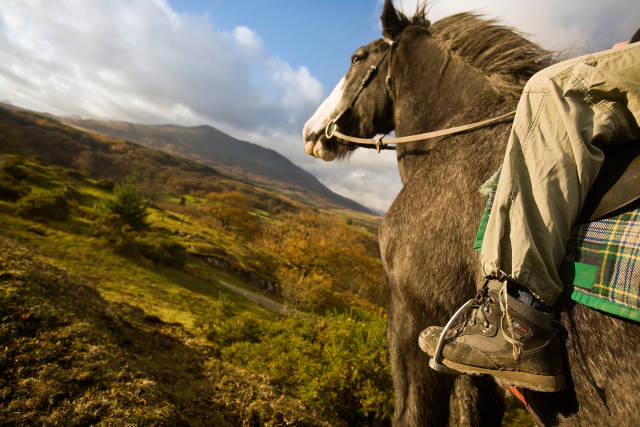 Horse Riding in Wales - Best Season