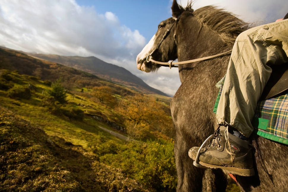 Horse Riding in Wales - Best Season