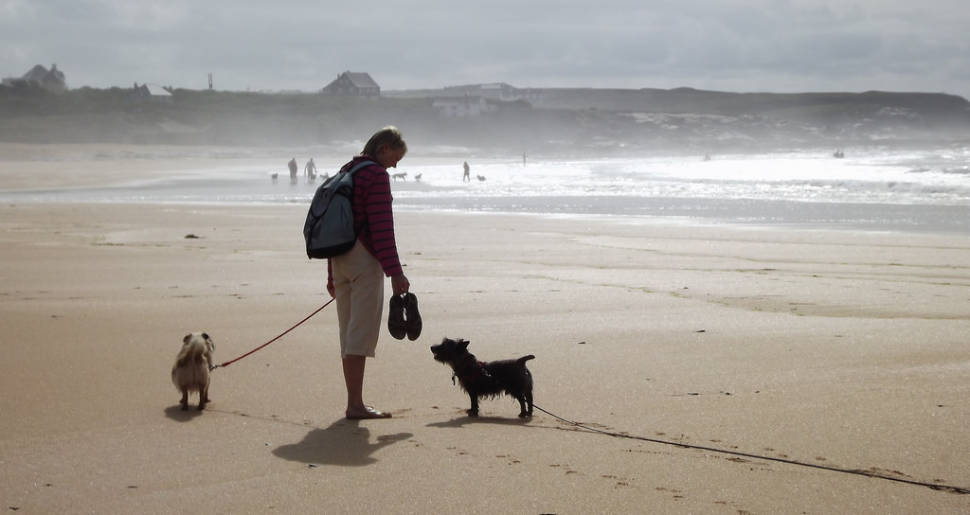 Indian Summer in Wales - Best Season
