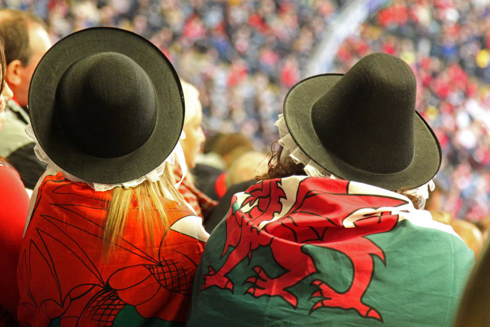 Two Welsh Dragons
