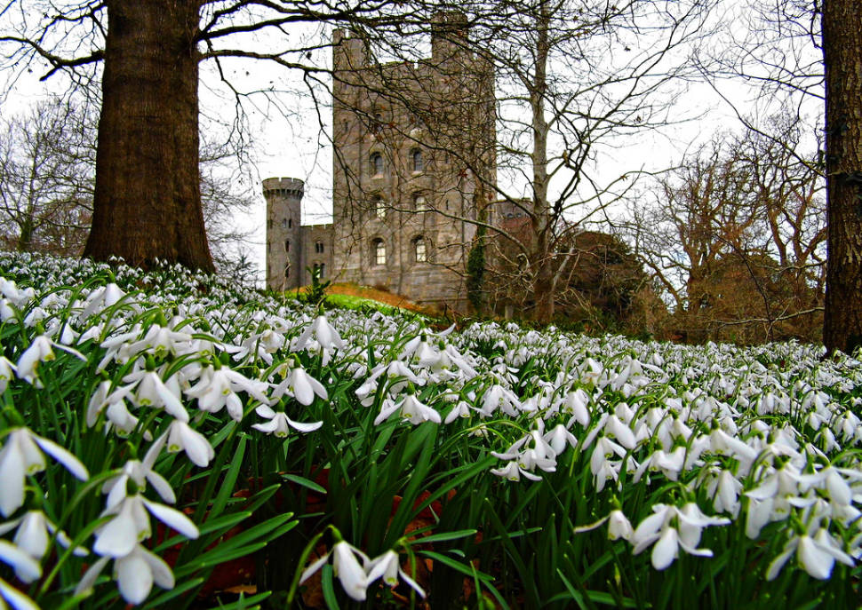 Penrhyn Castle (North Wales)