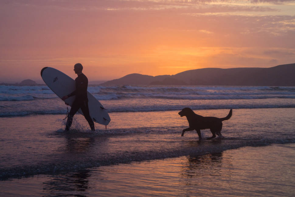 Micky (surfer) and his dog Jake (wannabe surfer), Newgale beach, Pembrokeshire, Wales, UK