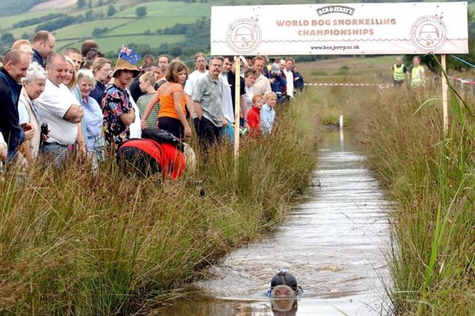 World Bog Snorkelling Championship in Wales - Best Time