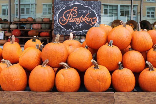 Autumn Pumpkin Patch in Washington, D.C. - Best Time