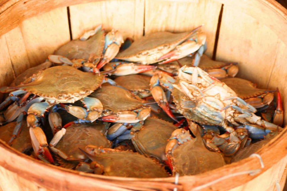 Best time for Chesapeake Bay Blue Crab in Washington, D.C.