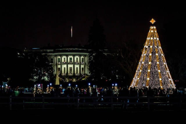 National Christmas Tree Lighting Ceremony in Washington, D.C. - Best Time