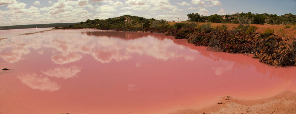 Hutt Lagoon in Western Australia - Best Season