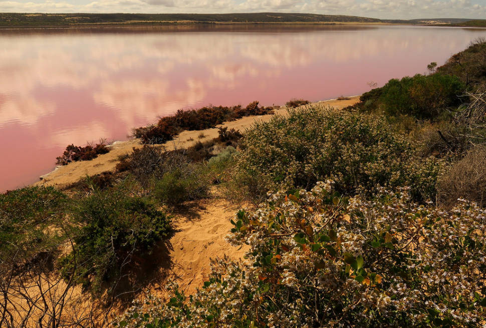 Best time for Hutt Lagoon in Western Australia