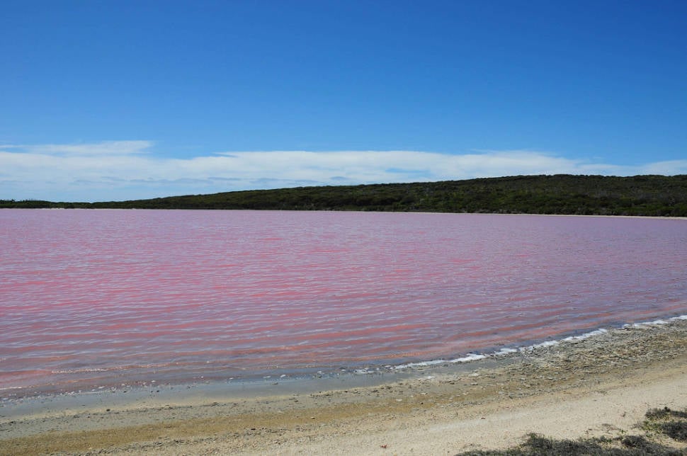 Best time for Lake Hillier in Western Australia