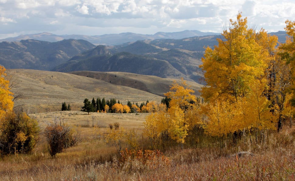 Autumn in Yellowstone National Park - Best Time