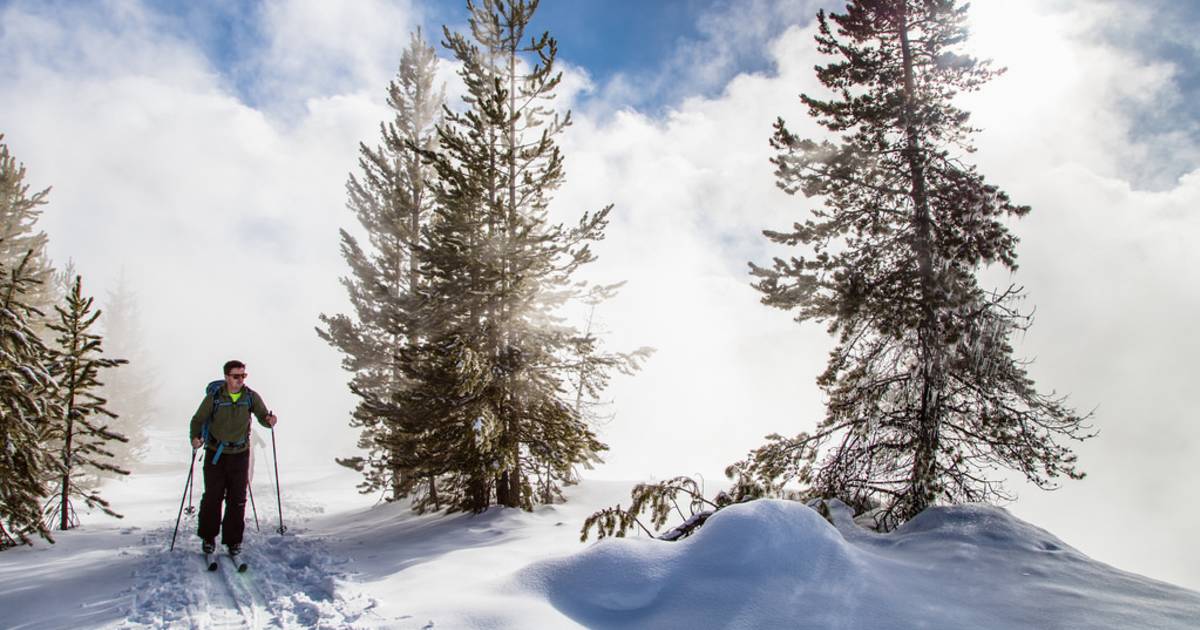 Cross-Country Skiing and Snowshoeing in Yellowstone National Park - Best Time